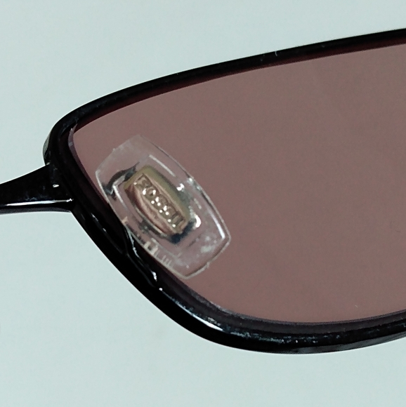 Fossil Frames - Picture 8 of 16